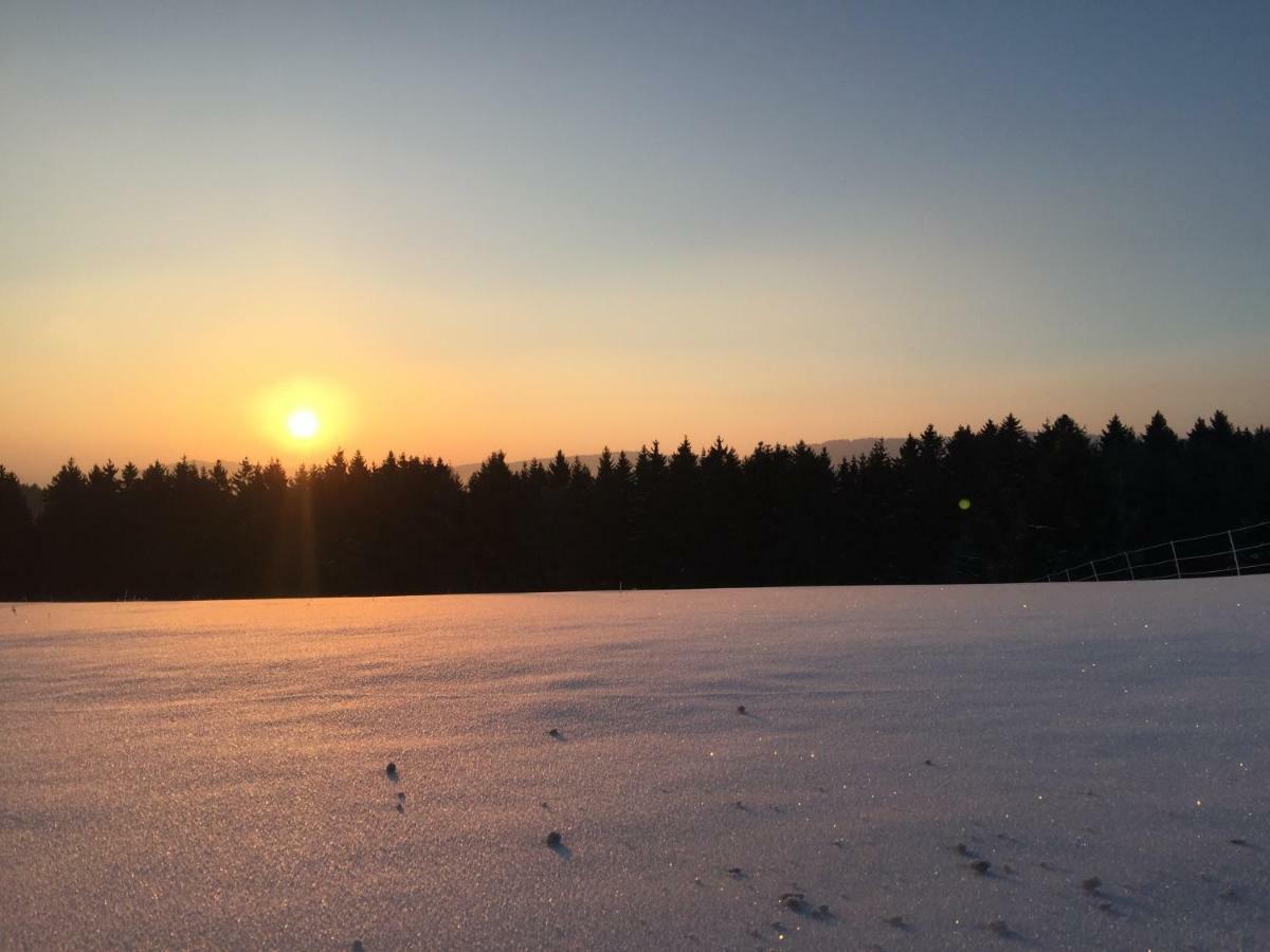 Goski & Gobike Winterberg 4K Netflix Free ภายนอก รูปภาพ